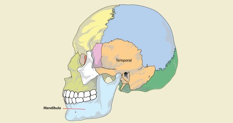 ATM (articulação temporomandibular)